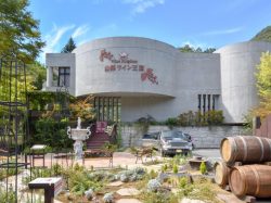 山梨ワイン王国 甲府市 ショップ 1