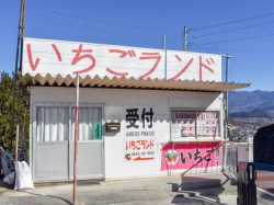 いちかわベリーハウス