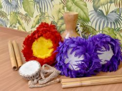 Poni Aloha Hula Studio 富士吉田 富士吉田市 遊ぶ学ぶ 3