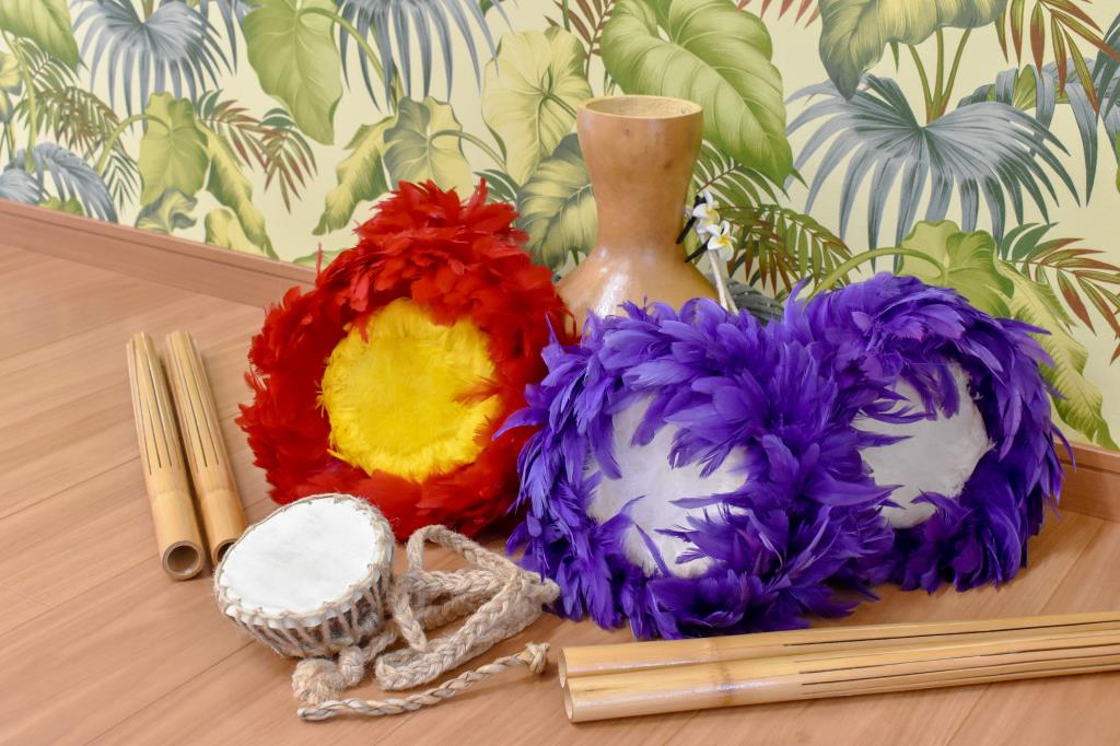 Poni Aloha Hula Studio 富士吉田 富士吉田市 遊ぶ学ぶ 3