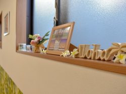 Poni Aloha Hula Studio 富士吉田 富士吉田市 遊ぶ学ぶ 4