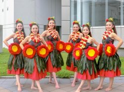 Poni Aloha Hula Studio 富士吉田 富士吉田市 遊ぶ学ぶ 5
