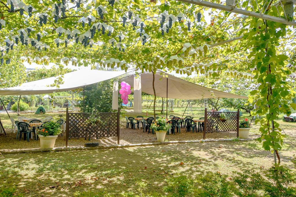 フルーツガーデン イチフル 笛吹市 観光農園・フルーツ狩り 2
