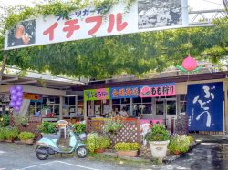 フルーツガーデン イチフル 笛吹市 観光農園・フルーツ狩り 1