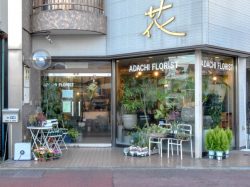 ADACHI FLORIST