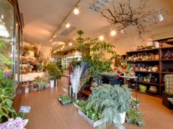 ADACHI FLORIST 甲府市 花屋 2