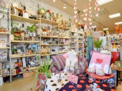 OEUF・Feria 甲府市 ショップ 2