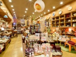 OEUF・Feria 甲府市 ショップ 3
