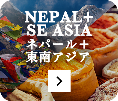 ネパール料理と東南アジア料理店のページをみる