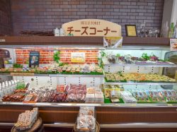 シャトレーゼベルフォーレワイナリー 甲斐市 遊ぶ学ぶ 4