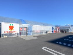 昭和やさい畑いちご園みない