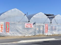 まるせい農園