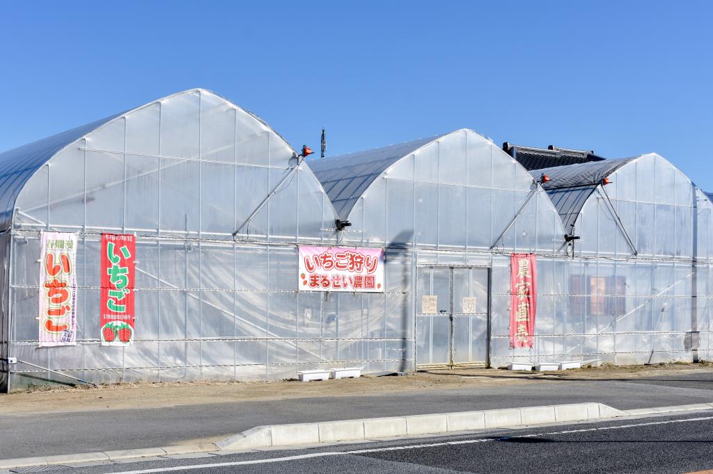 まるせい農園 山梨市 観光農園 フルーツ狩り 1