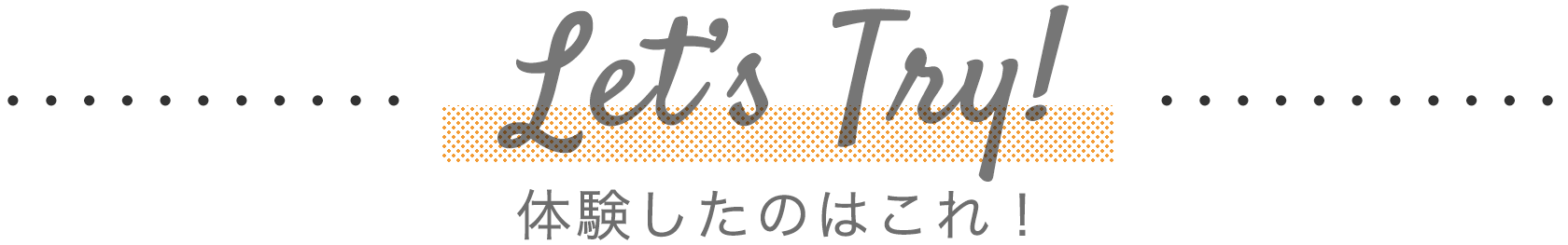 体験したのはこれ！