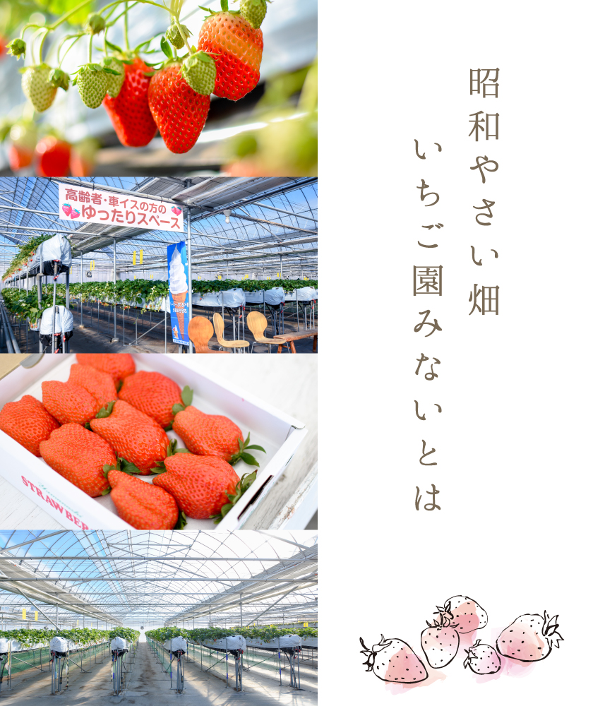 昭和やさい畑いちご園みないとは