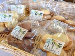 豆の花 豆腐工房 北杜市 ショップ 4