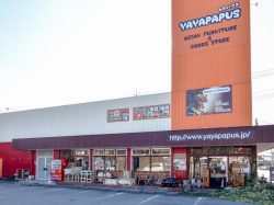 YAYAPAPUS