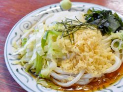 吉田のうどん てっちゃん 富士吉田市 グルメ そば/うどん 3