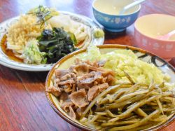 吉田のうどん てっちゃん