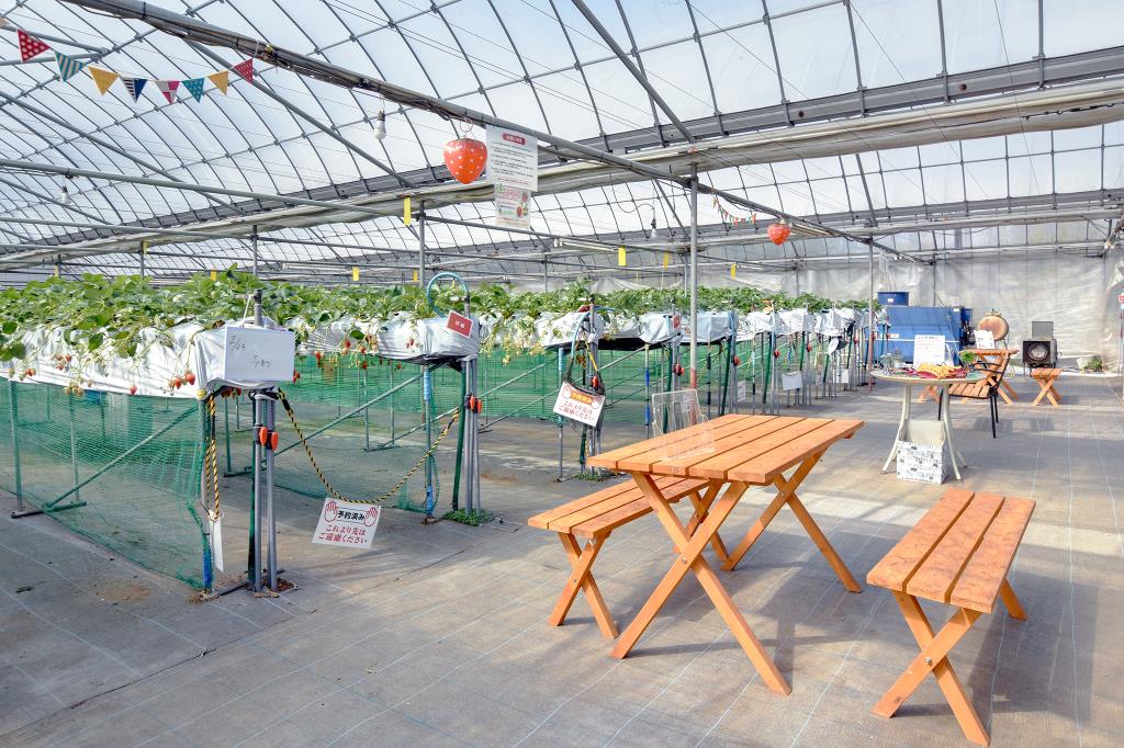 佐野農園 甲州市 観光農園・フルーツ狩り 3