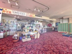 竜王ラドン温泉 湯～とぴあ 甲斐市 温泉 スパ 5