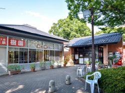 樹園