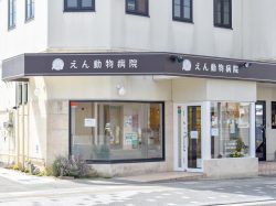 えん動物病院