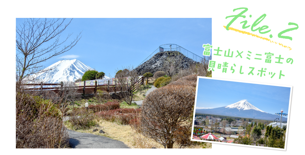 file2 富士山×ミニ富士の見晴らしスポット