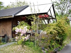 OrganicCafe ごぱん 北杜市 カフェ・オーガニック・自然食・カレー