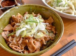 吉田のうどん ひの樹 富士河口湖 そば/うどん 1