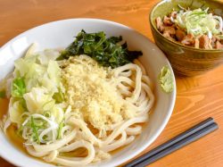 吉田うどん ひの樹