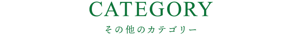 その他のカテゴリー