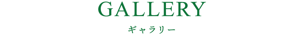 ギャラリー
