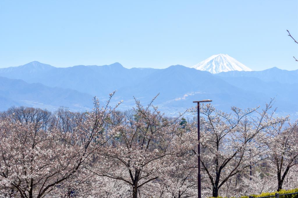 アートショップメッセージ＆ギャラリーイーゼル 山梨市 文化・アート 1