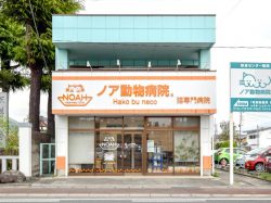 Hako bu neco 猫専門病院