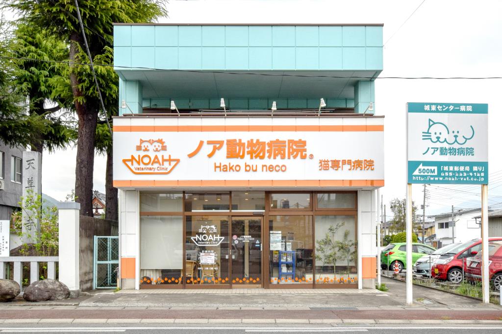 Hako bu neco 猫専門病院 甲府市 ペット 動物病院 1