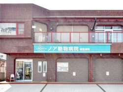 ノア動物病院 敷島病院