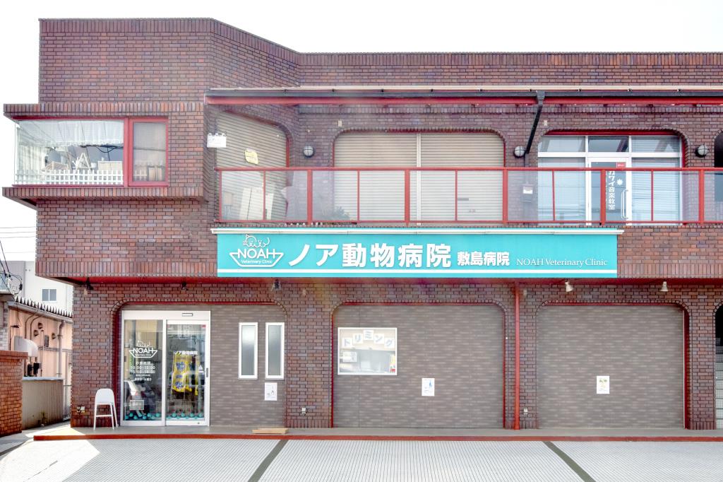 ノア動物病院 敷島病院 外観