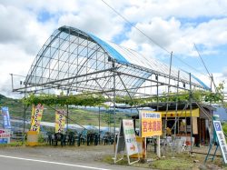 宮本農園