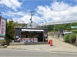 大沢農園