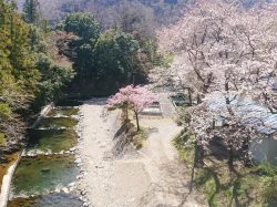 上野原市営マス釣場 上野原市 レジャー・アウトドア 4