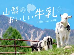 山梨のおいしい牛乳～八ヶ岳・清里＆河口湖の人気ソフトクリームも