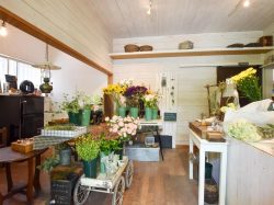 リエール 都留市 花 ガーデニング 花屋 4