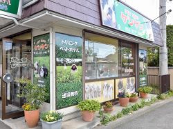 ペットショップ ケンケン