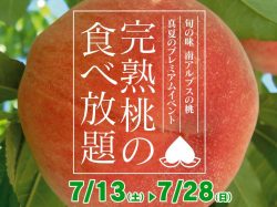 道の駅しらね　完熟桃食べ放題4