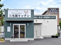 三毛猫キッチン 甲府市 テイクアウト デリバリー 5
