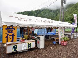 ブルーベリー摘み取り体験 大木原地区