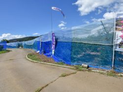 ブルーベリー摘み取り体験 砂細地区