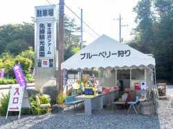 先勝ブルーベリー農園