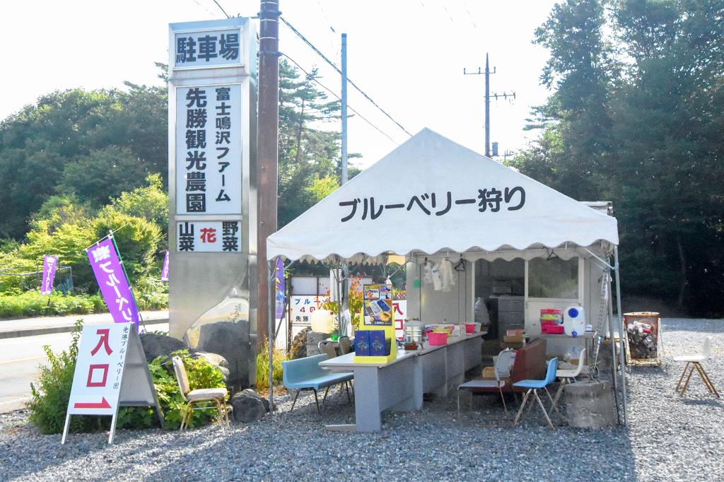 先勝ブルーベリー農園 鳴沢村 観光農園・フルーツ狩り 4